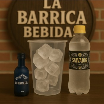 GIN TONIC CON HIELO - PROMO MINI