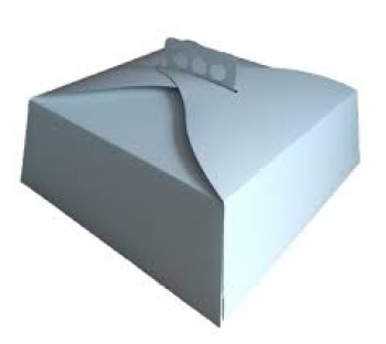 TORTA BLANCA (30X30X11)