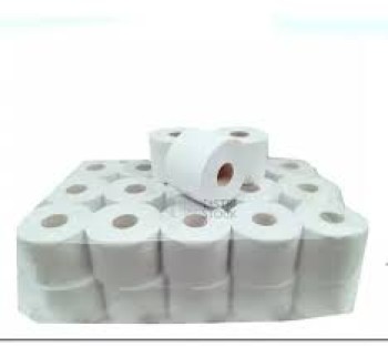 HIGIENICO 100 MTS BLANCO (BULTO X 24)