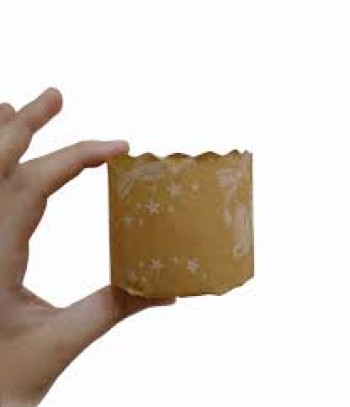 PAN DULCE 100GR (X10)