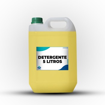 DETERGENTE 5LTS