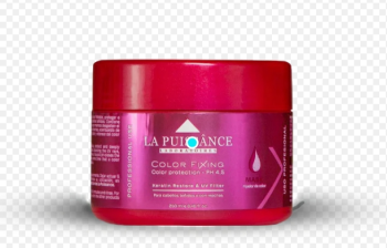 La Puissance Color Fixing Máscara 250 ml