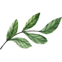 Porto Logo