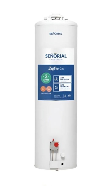 TERMOTANQUE SEÑORIAL A GAS 120L