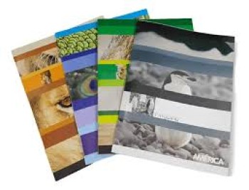 CUADERNO A5 AMERICA TF X 48 HOJAS RAYADO