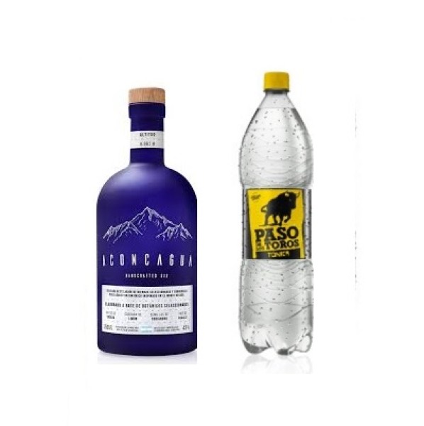 # - 1 GIN ACONCAGUA + 1 PASO DE LOS TOROS TONICA - DELIVERY