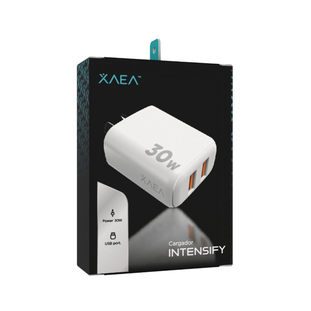 cabezal 220v 2usb 30w xaea