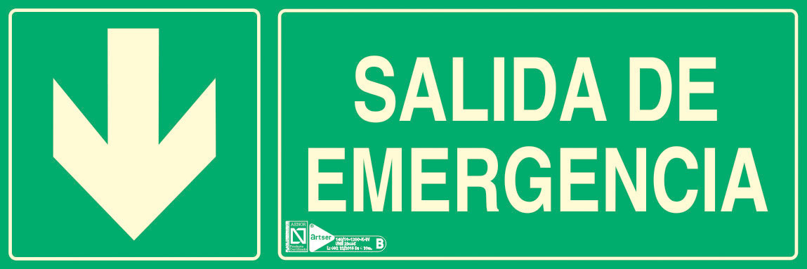 ALTO IMPACTO SALIDA EMERGENCIA