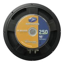 W1028-PARLANTE DE 10" 1,5" EN 8 OHMS 125 W RMS (250 W MAX)