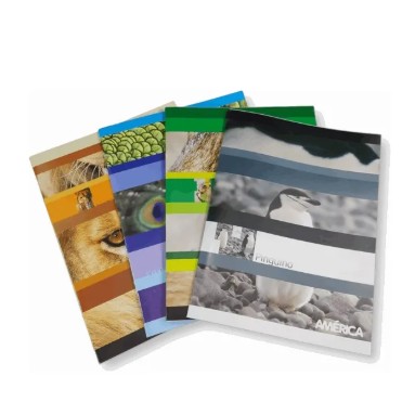 CUADERNO A5 AMERICA TF X 48 HOJAS LISO