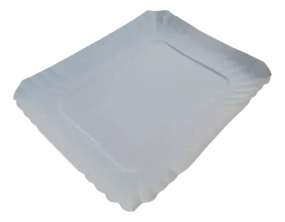 BANDEJA CARTON N2 DPM 100U