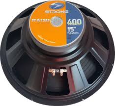 W1558-PARLANTE DE 15" 250W MAX 500W
