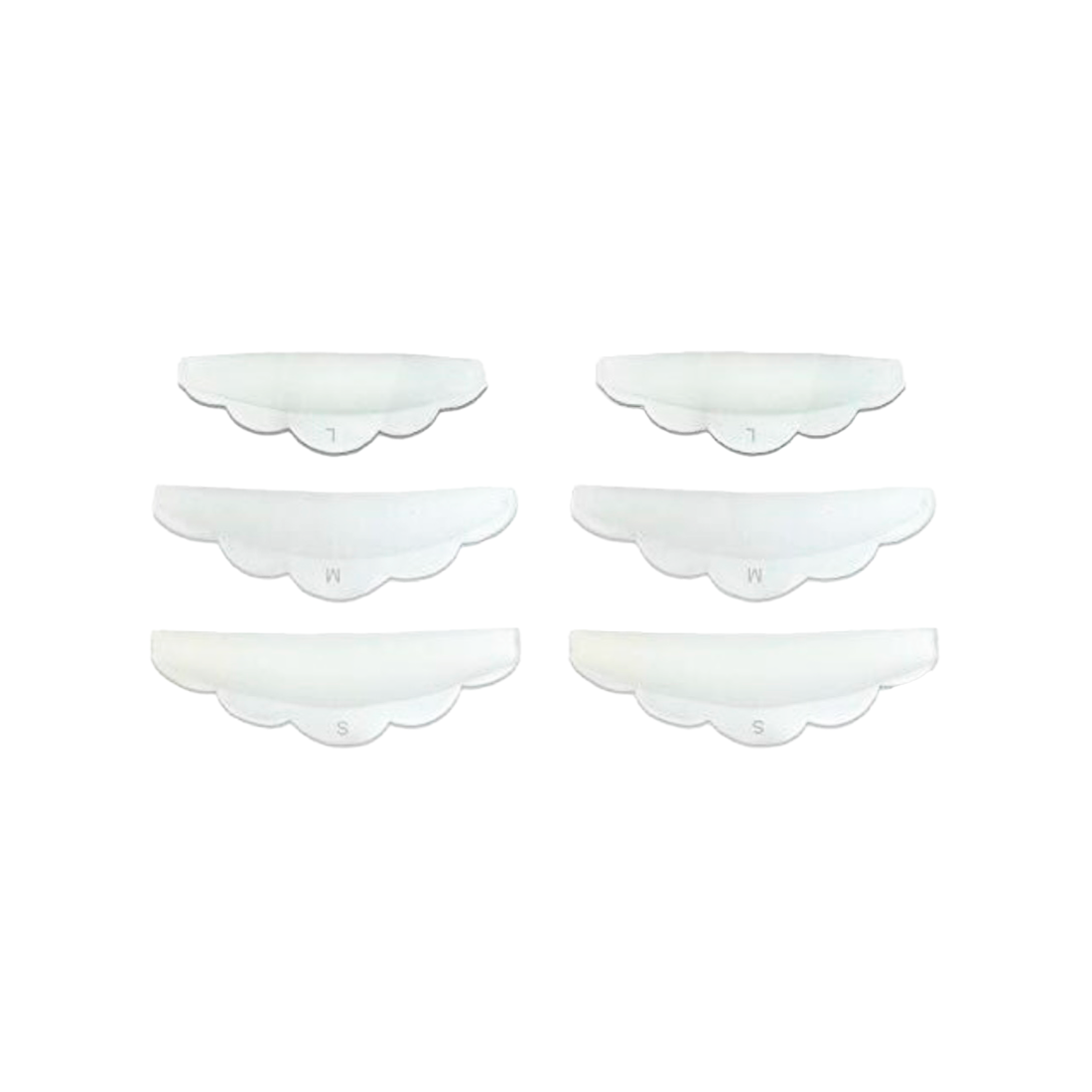 BIGUDIES TRANSPARENTES