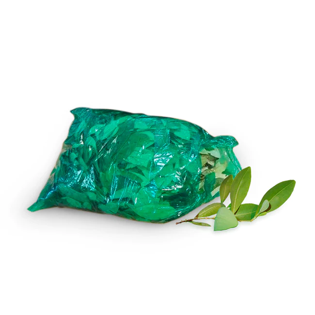 BOLSA COCA VERDE 20x30 X100u
