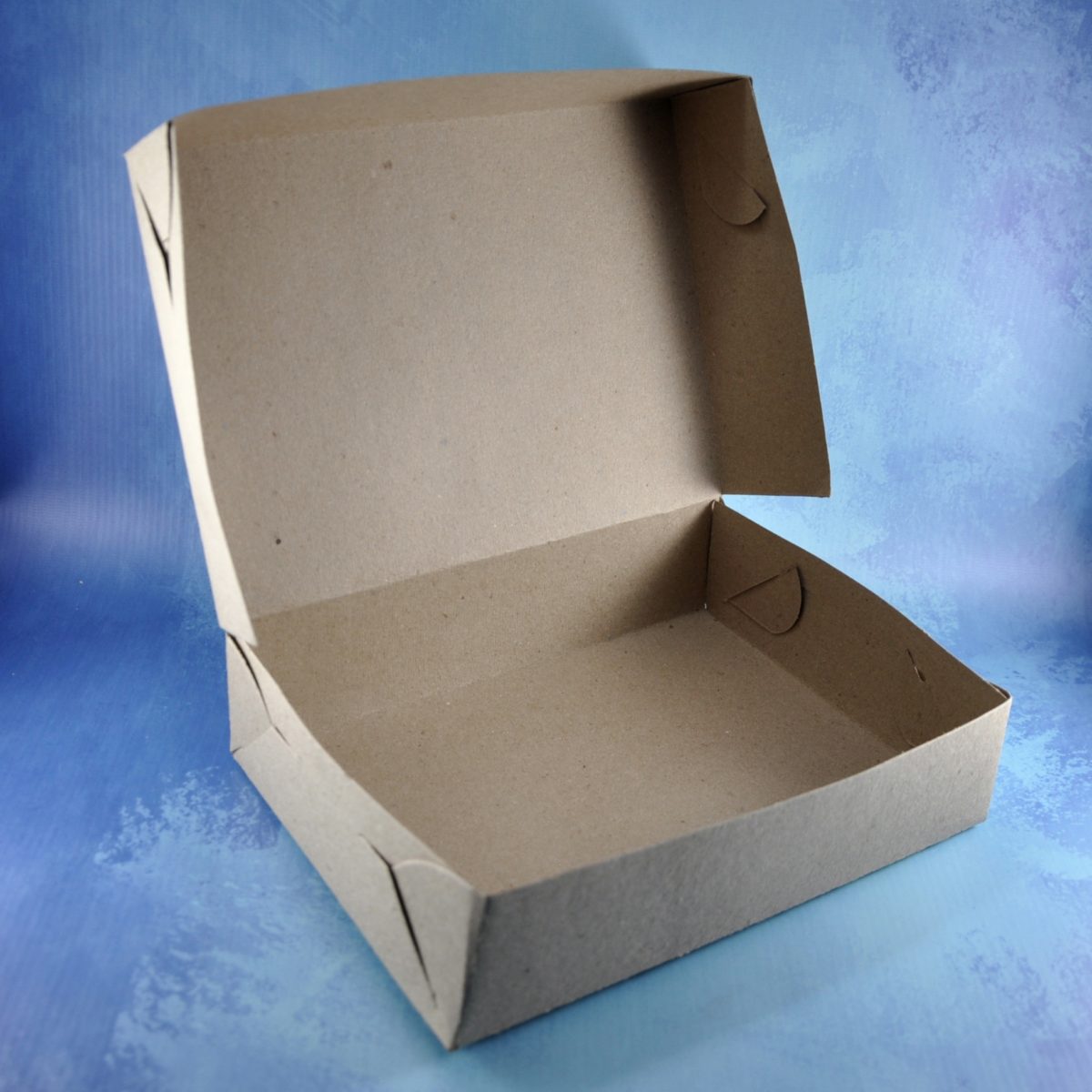 caja lomo grande 20,5x29x6 x100u