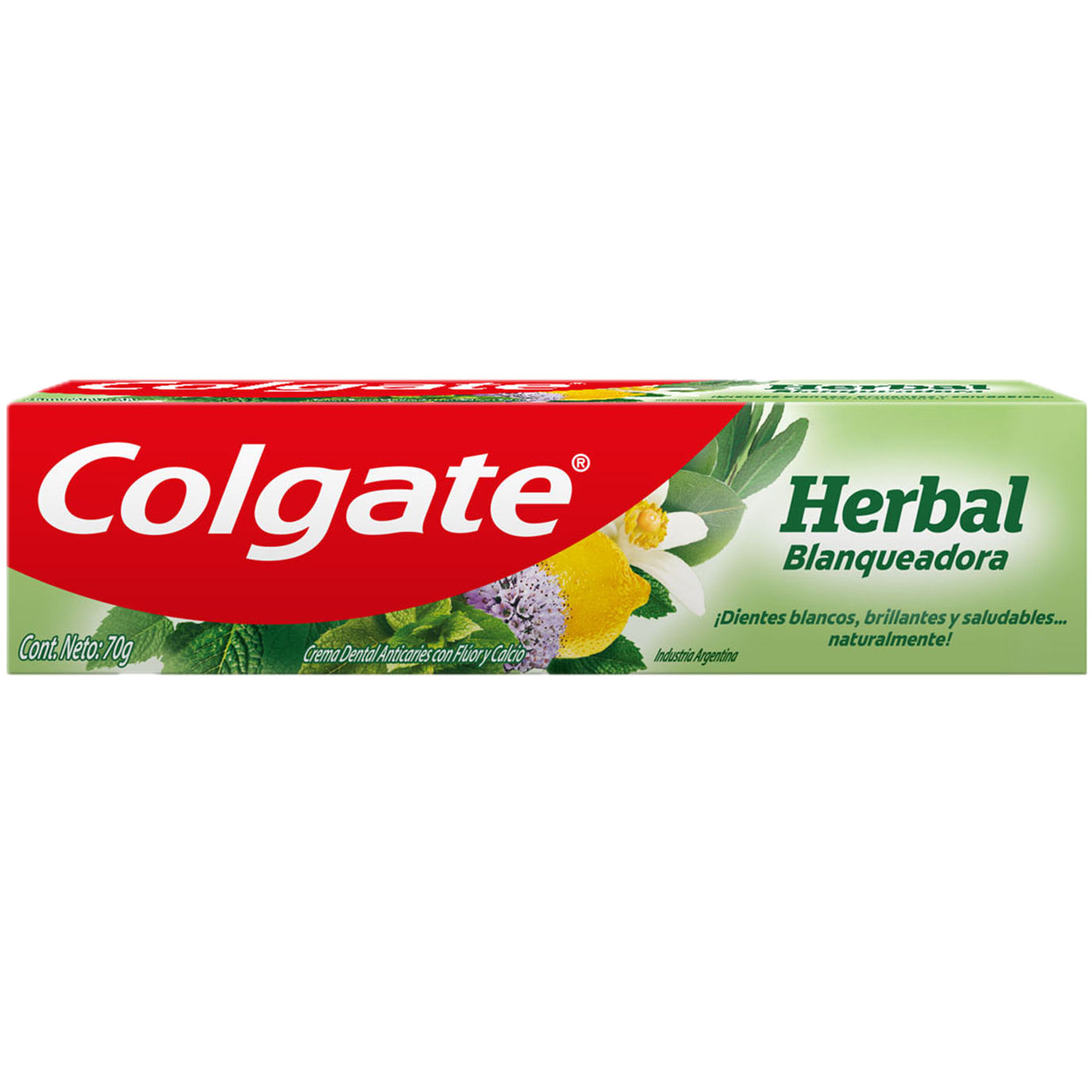 Dentifrico 70g herbal blanqueadora Colgate (12)