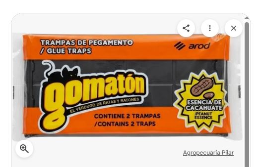 gomaton trampa pegamento ratas